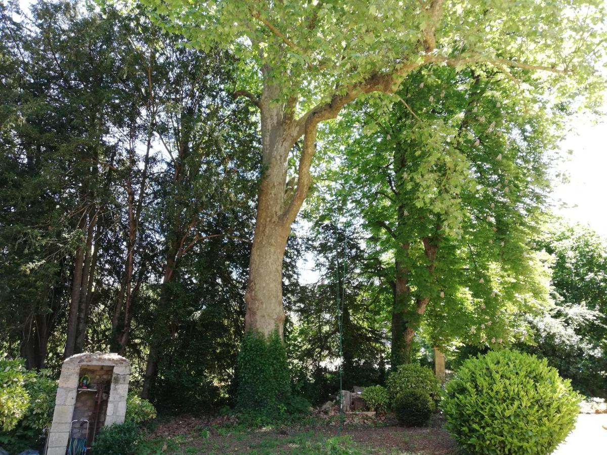 Manoir De La Touche Bed & Breakfast Azay-le-Rideau Exterior photo